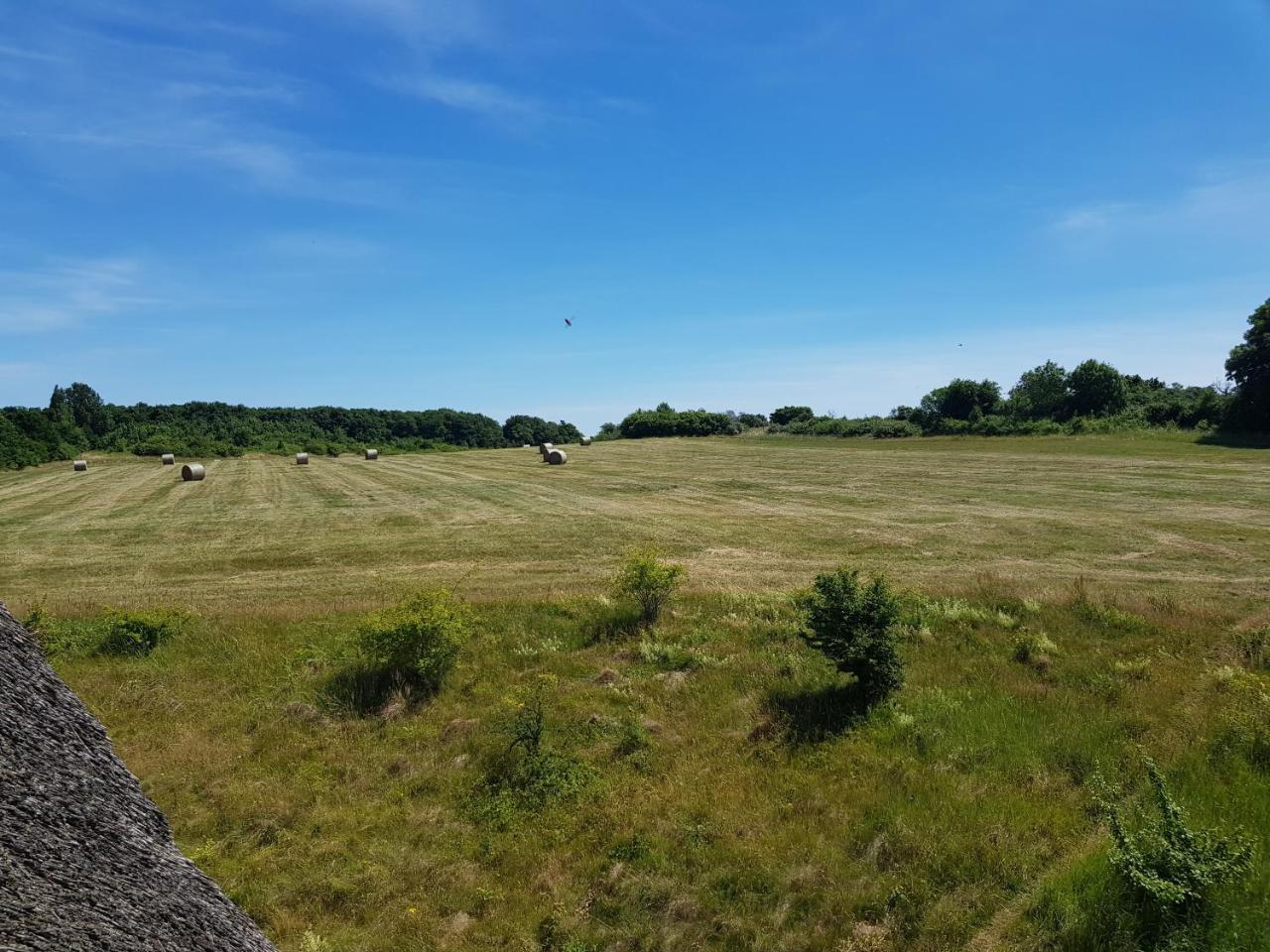Fewo 18 Im Strandhaus Lobbe Mit Balkon Esterno foto